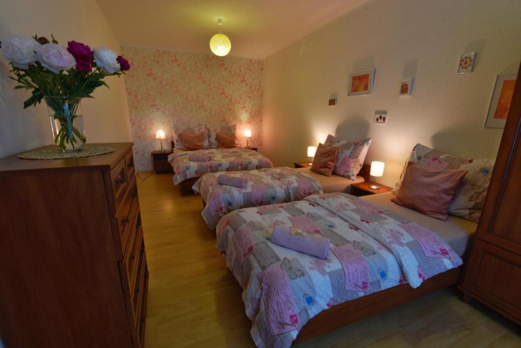 Apartmany Branickov Buitenkant foto